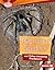 Trap-Door Spiders and Other Amazing Predators (Searchlight Books ™ - Animal Superpowers)
