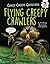 Flying Creepy Crawlers