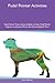 Pudel Pointer Activities Pudel Pointer Tricks, Games & Agilit... by Kevin   Marshall