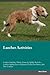 Lurcher Activities Lurcher ...