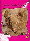 What Feels Sticky? by Pam Holden