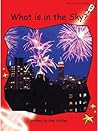 What Is in the Sky? by Pam Holden