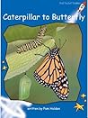 Caterpillar to Butterfly by Pam Holden