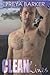 Clean Lines: a Cedar Tree novel (Cedar Tree, 4)