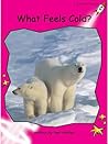 What Feels Cold? by Pam Holden