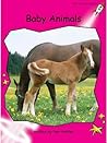 Baby Animals by Pam Holden
