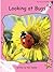 Looking at Bugs (Red Rocket ™ Readers Pre-Reading Level)