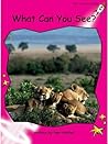 What Can You See? by Pam Holden