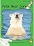 Polar Bear Survival (Red Rocket ™ Readers Early Level 4)