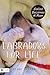Labradors for Life by Terre Redmon