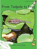 From Tadpole to Frog