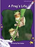 A Frog's Life