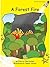 A Forest Fire (Red Rocket ™ Readers Early Level 2)