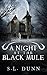 A Night at the Black Mule