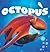 Octopus (Quarto Library)