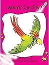 What Can Fly? by Pam Holden