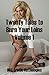 Twenty Tales to Burn Your Loins Volume 1: Twenty Erotica Stories