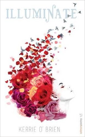 Illuminate (Paperback)