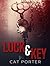 Lock & Key (Lock & Key, #1)