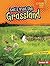 Let's Visit the Grassland (Lightning Bolt Books ® — Biome Explorers)