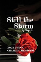 Still the Storm (Chasing the Storm Book 2)