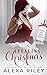 Stealing Christmas