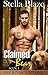 Claimed Bear (Ferro Mountain Shifters, #1)