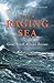 Into a Raging Sea: Great South African Rescues