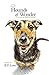 Hounds of Wonder: A Life in Rescue Dogs