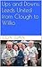 Ups and Downs: Leeds United from Clough to Wilko (A Personal History of Leeds United - from Revie to the Present Day Book 2)