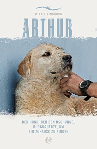Arthur: Der Hund, der den Dschungel durchquerte, um ein Zuhause zu finden