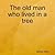 The Old Man Who Lived in a ...