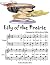 Lily of the Prairie - Easie...