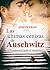 Las últimas cenizas de Auschwitz: Te esperaré todo el invierno (Spanish Edition)