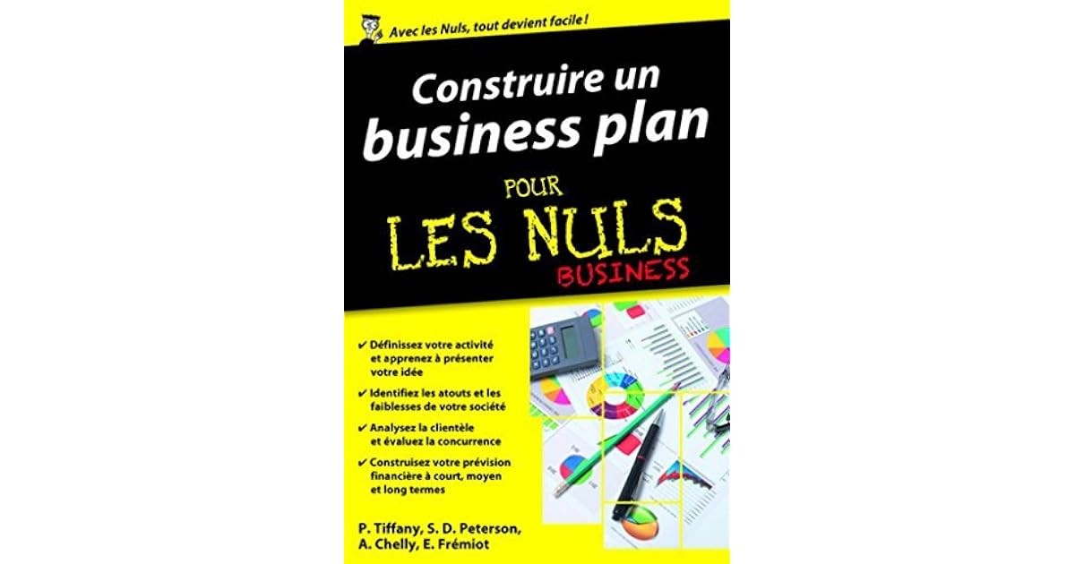 Construire Un Business Plan Pour Les Nuls