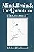 Mind, Brain and the Quantum by Michael Lockwood