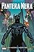 Pantera Nera Vol. 1: Una nazione ai nostri piedi