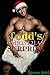Todd's Christmas Surprise: First Time Gay Seduction Taboo Erotica