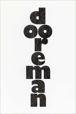 Dooreman (Hardcover)