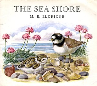 The Sea Shore (Paperback)