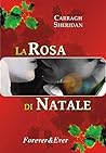 La rosa di Natale