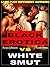 Black Erotica vs White Smut (Erotica stories for men with explicit sex . Plot contest. Who does it better? Let us know)