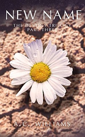 New Name (Morningstar: Destiny Trilogy #3)