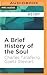 Brief History of the Soul, A