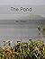 The Pond