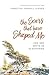 The Scars That Have Shaped Me by Vaneetha Rendall Risner