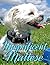 Magnificent Maltese (Dogs and Puppies Picture & Coloring Books Book 19)