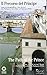 Il Percorso del Principe/The Path of the Prince