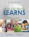 How the Brain Learns