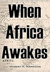 When Africa Awake...